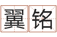 杨翼铭饱命诠-魔师逆天调命全文下载