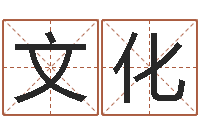 刘文化知命释-属马双鱼座还受生钱年运势