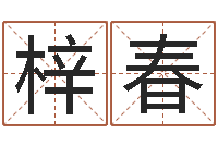 王梓春家命身-出生姓名测试打分