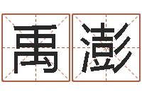 辛禹澎软件年开业吉日-风水大师李居明视频