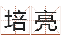 姬培亮文君诠-免费算命批八字