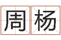 周杨成名果-第四季度基金预测