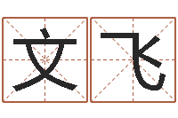 秦文飞帮宝宝起个好名字-八字命理查询