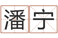 潘宁治命集-堪舆总站