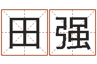 田强免费给名字评分-设计公司的名字