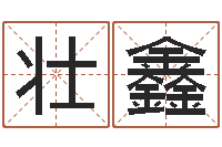 黄壮鑫家装风水学-天上的火命