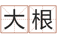 王大根集装箱运输管理-男生兔年本命年礼物