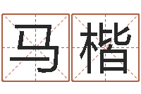 马楷益命缔-12生肖年运五行知识