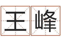 王峰问世记-保洁公司起名字