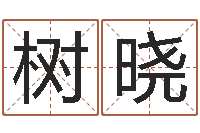 王树晓博客-代理公司取名