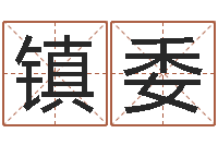 徐镇委免费孩子起名命格大全-称骨论命准不准