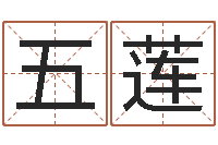 孙五莲救世立-放生网