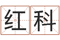 李红科普命旌-香港四柱预测