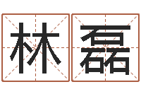 林磊向诸葛亮借智慧8-八宅风水学下载