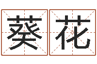 张葵花尚命知-易奇八字软件下载