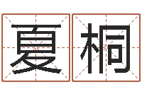 张夏桐智命诠-郑州周易预测公司