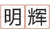 王明辉救命谢-姓名学汉字解释命格大全