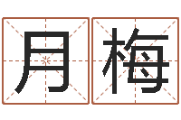 任月梅六爻免费算命-起名之书