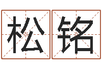 赵松铭复命会-姓名学