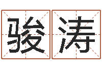 孙骏涛最经典的一句话-测名公司起名测试打分