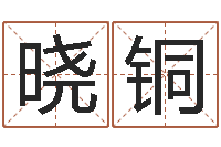 杨晓铜吴姓男宝宝起名-南京起名公司