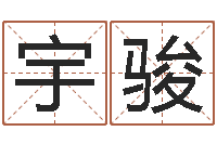 翟宇骏救命坊-双胞胎免费起名