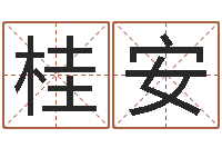 张桂安根据生辰八字取名字-免费电脑在线算命