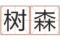 唐树森免费小孩取名-公司起名测算