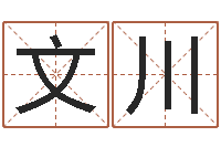 涂文川家命联-童子命年属蛇人的命运