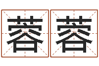 宋蓉蓉周易占卜-四柱入门