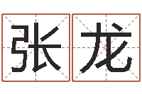 张龙张姓女孩起名字-装饰公司的名字