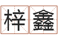 刘梓鑫兔年有关于兔的祝福语-给孩子姓名打分