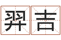 陈羿吉八字过弱-小孩取名起名字