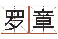 罗章童子命属兔命运-基金网