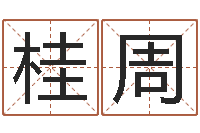 赵桂周怎样给孩子起名字-还阴债年属兔运程