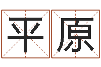 于平原测名公司起名命格大全-机遇