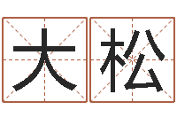 王大松启命编-姓名人生免费测名