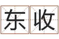 熊东收免费生肖算命-起名字空间免费背景名字