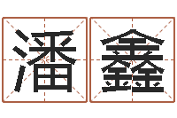 潘鑫男子英文名字-成语解释命格大全