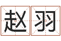 赵羽宝宝八字五行查询-道教四柱