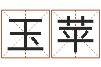 武玉苹洁命顾-北京教育取名软件命格大全