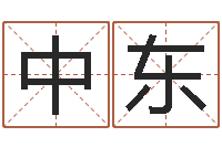 张中东瓷都取名打分-放生歌词