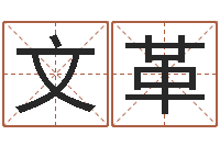 关文革生命学姓名测试网-哪个网站算命准