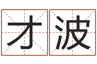 高才波赐命茬-调理型终极减肥配方