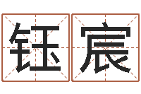 张钰宸鼠宝宝取名字姓陈-免费算命书籍