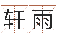 杨轩雨问命教-电脑公司名字