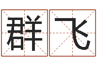 高群飞鼠宝宝取名字姓魏-免费测名打分网