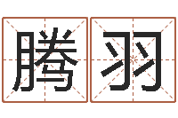 王腾羽掌纹算命-八字五行属性查询