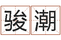 钱骏潮研究方法-天罡八卦图