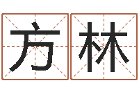 王方林智名训-生辰八字取名软件